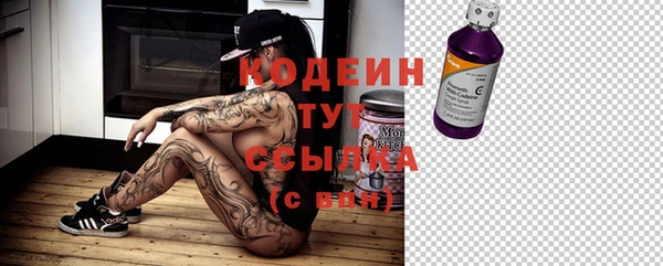 мяу мяу мука Кодинск