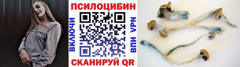 Псилоцибиновые грибы Magic Shrooms  Ядрин 